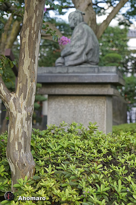 写真00