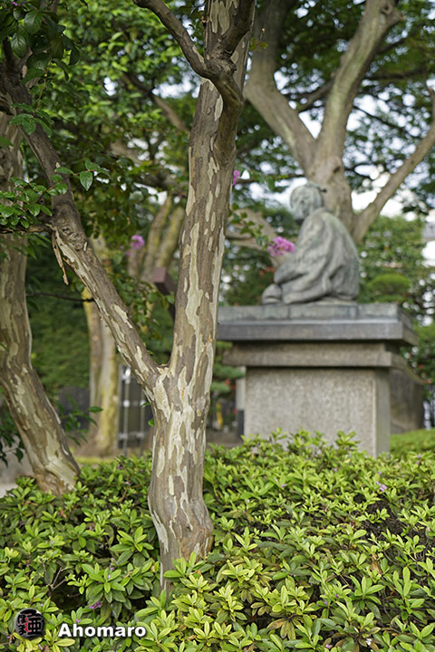 写真00