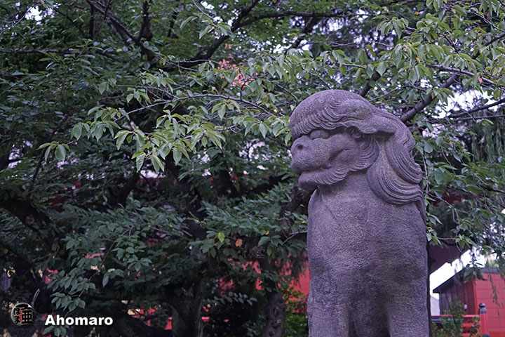 写真00