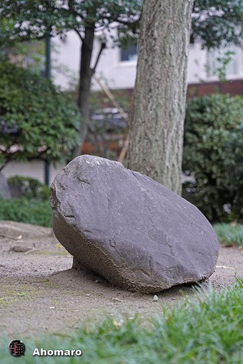 写真00