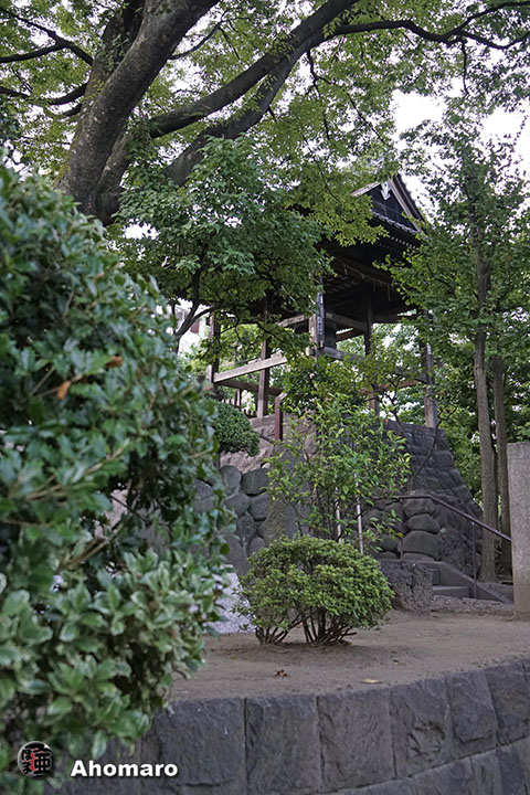 写真00