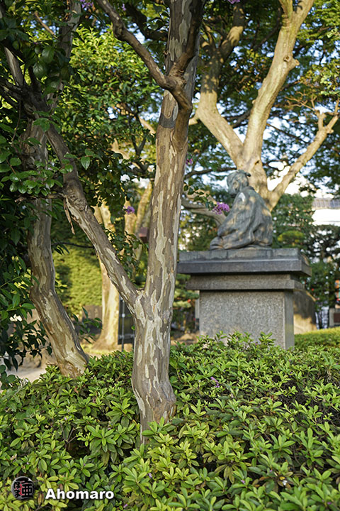写真00