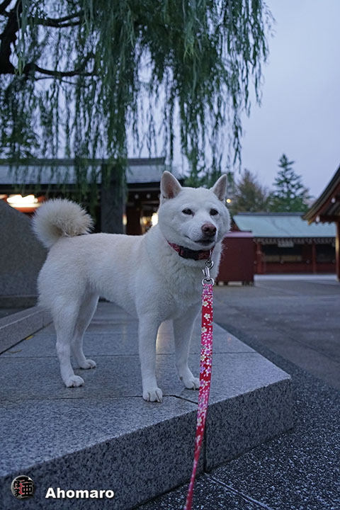 写真00