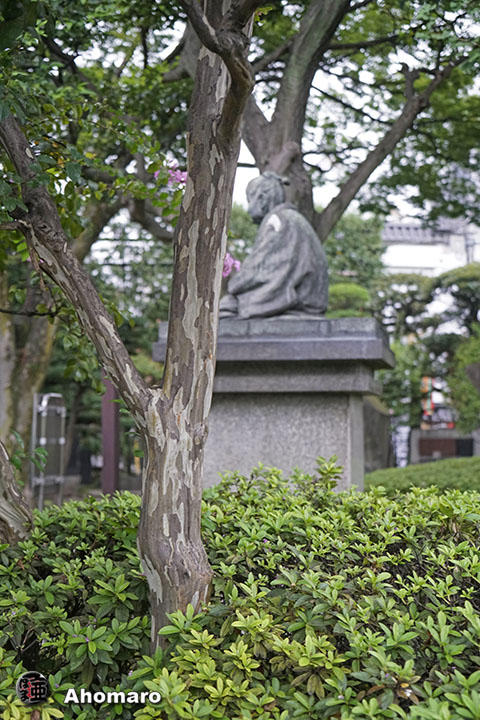 写真00