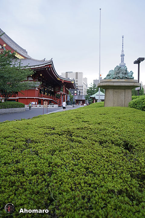 写真00