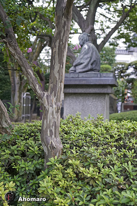 写真00
