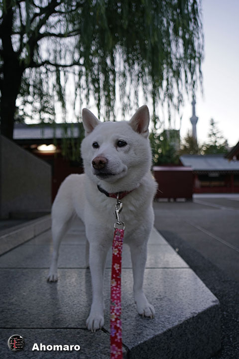 写真00