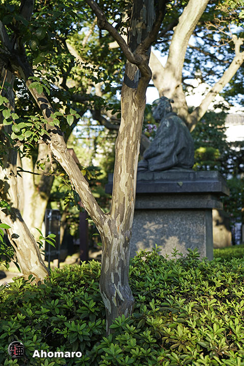 写真00