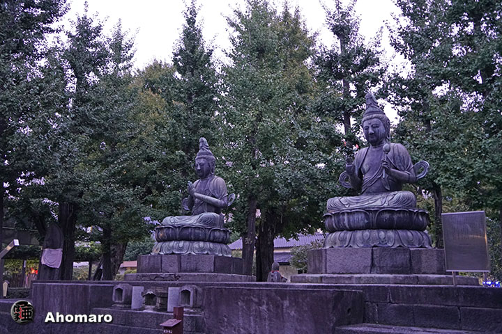 写真00