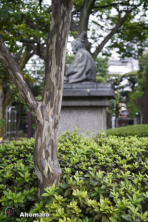 写真00