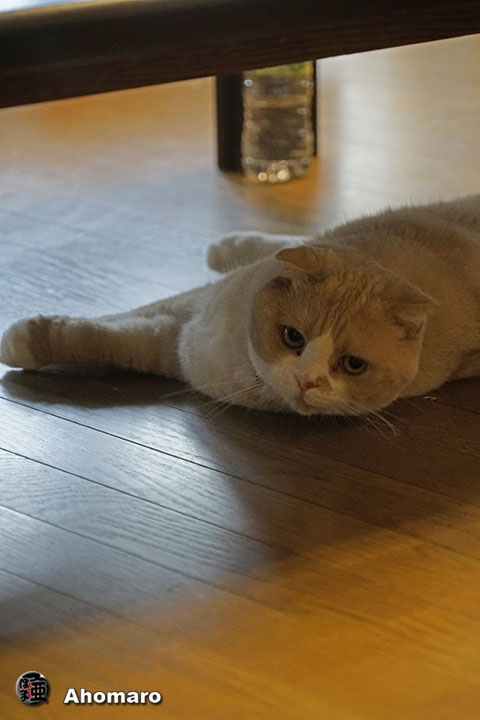 写真00