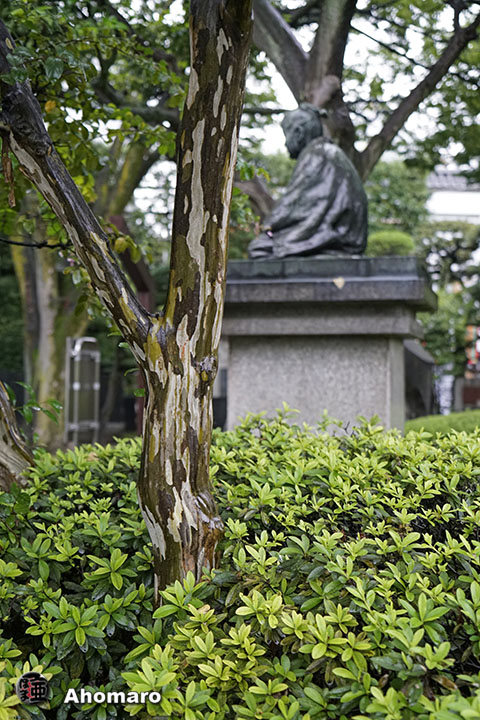 写真00