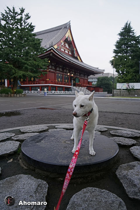写真00