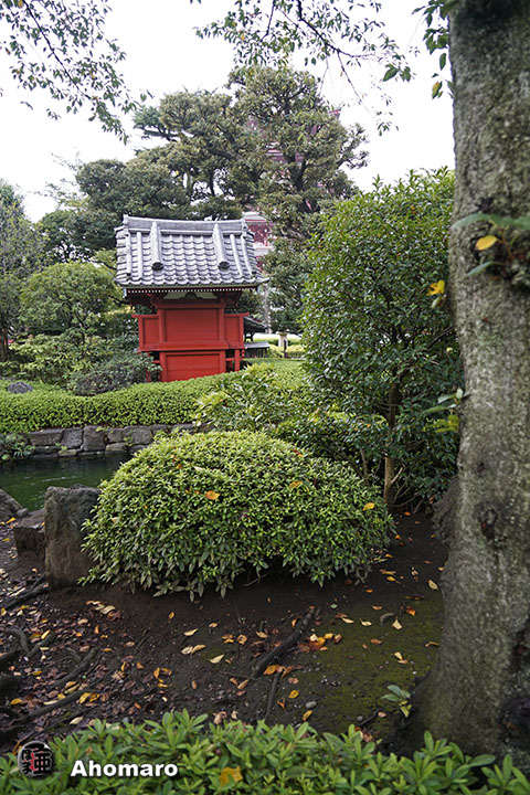 写真00