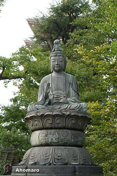 写真00