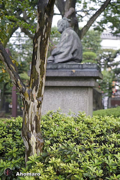写真00