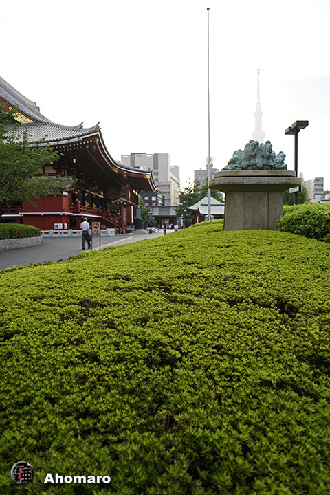 写真00