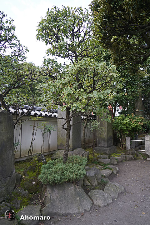 写真00