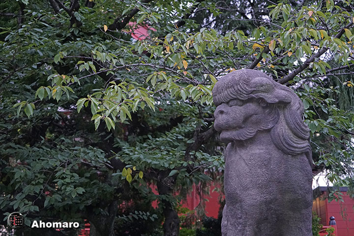 写真00