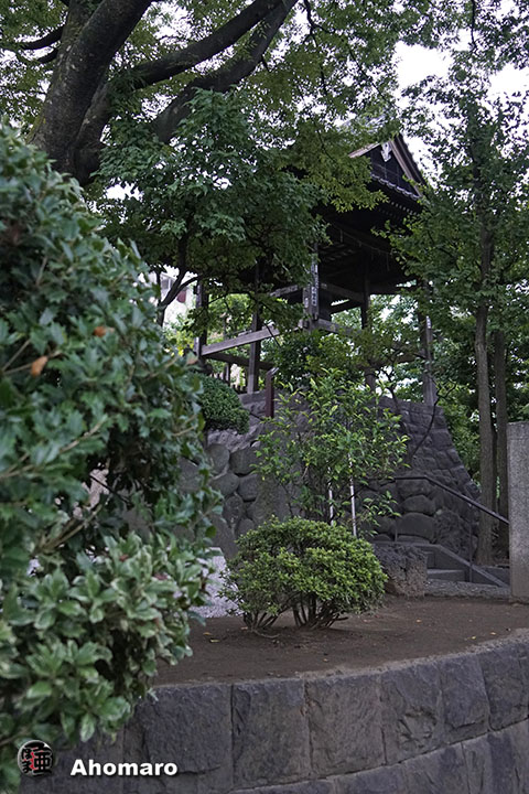 写真00