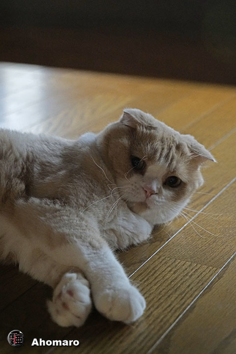 写真00