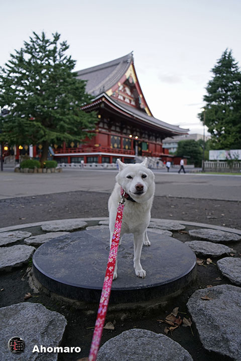 写真00