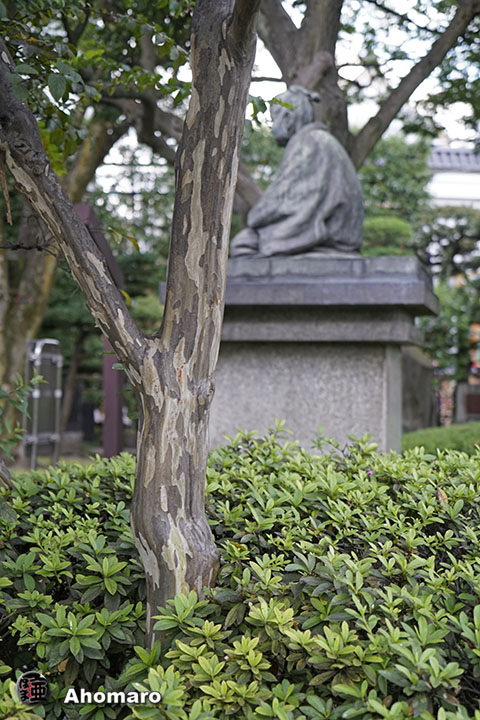 写真00