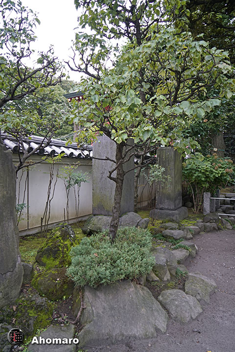 写真00