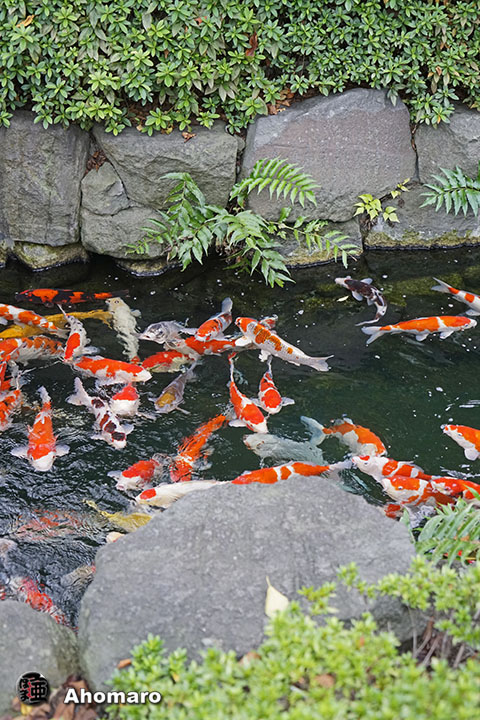 写真00