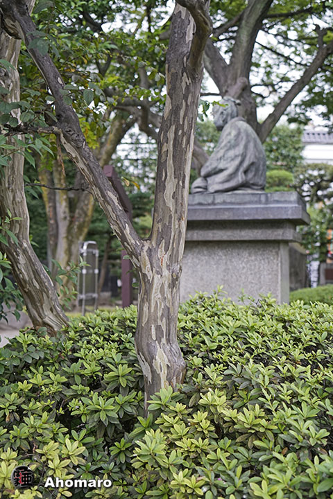 写真00