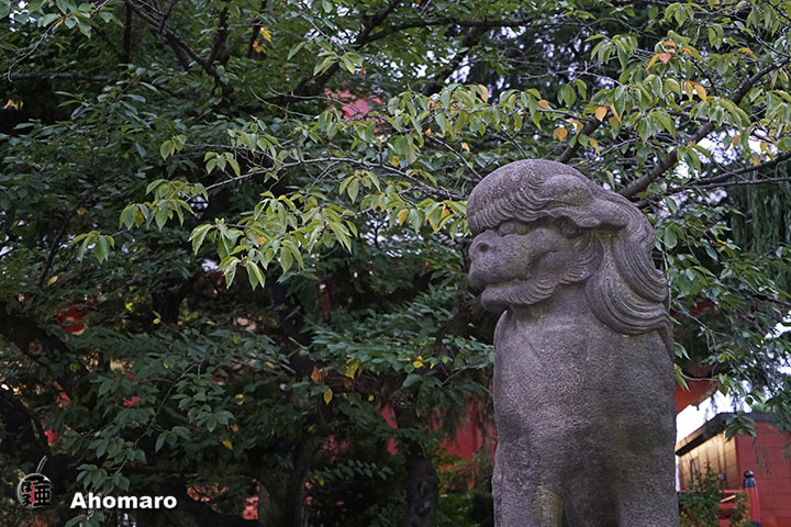 写真00