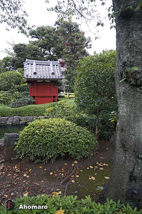 写真00
