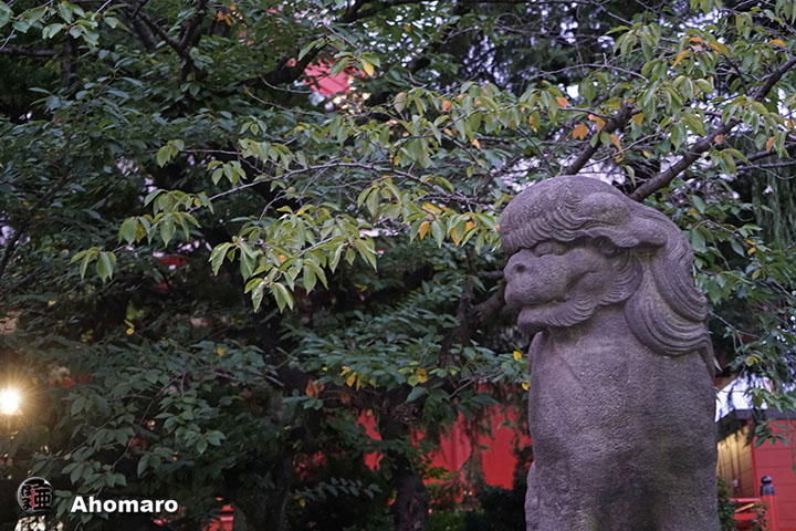 写真00