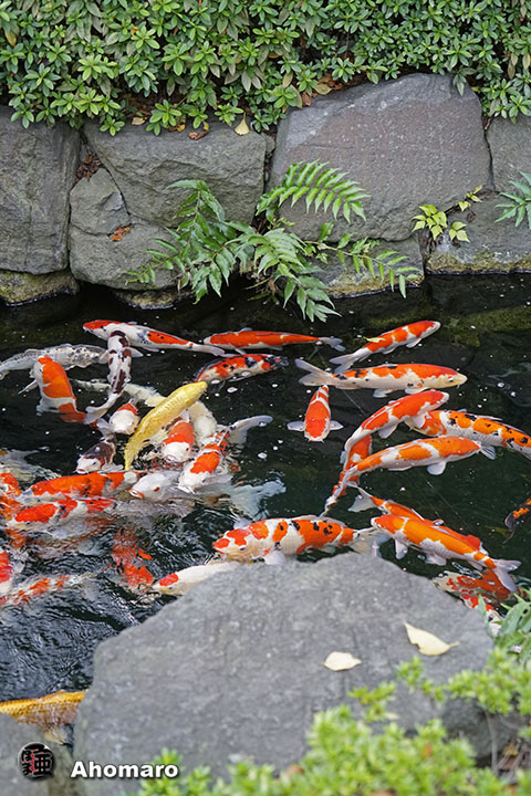写真00