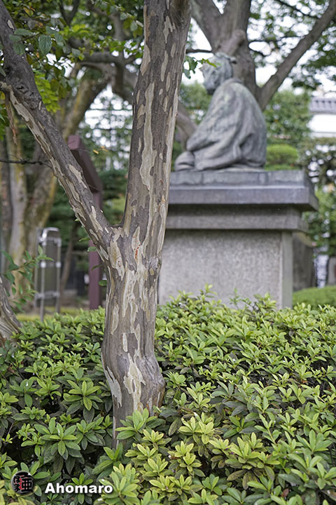 写真00