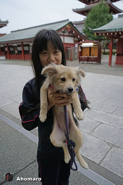 写真00