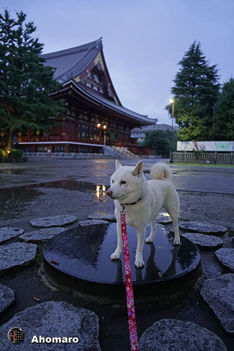 写真00