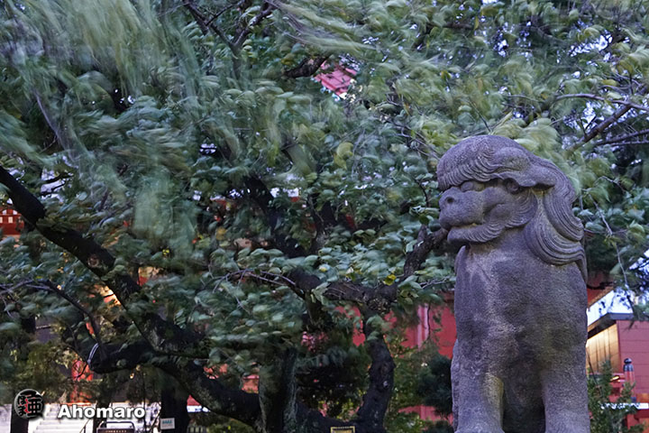 写真00