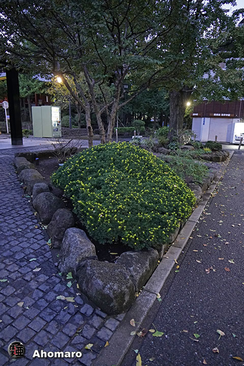 写真00