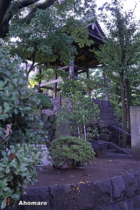 写真00