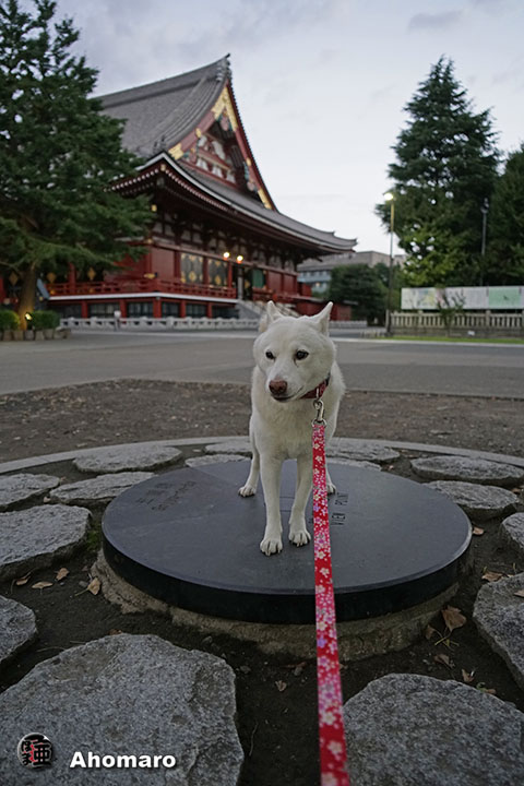 写真00