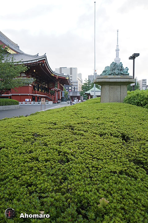 写真00