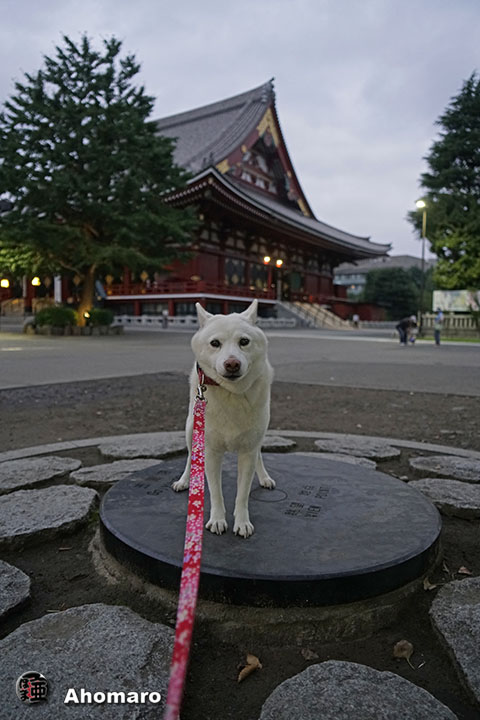 写真00