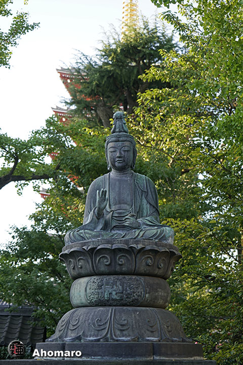 写真00