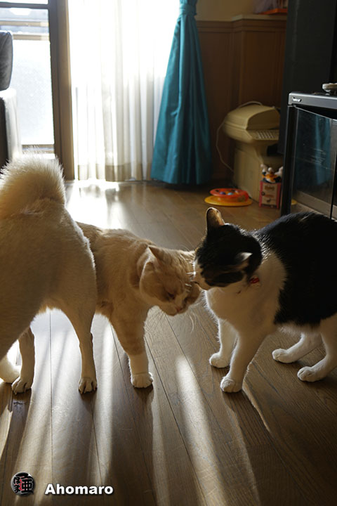 写真00