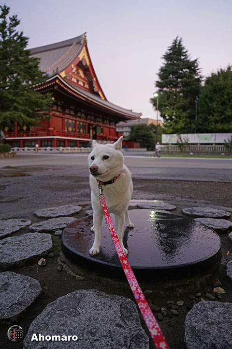 写真00