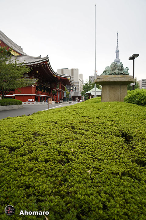写真00
