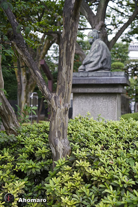 写真00