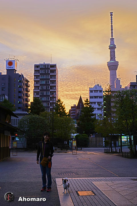 写真00