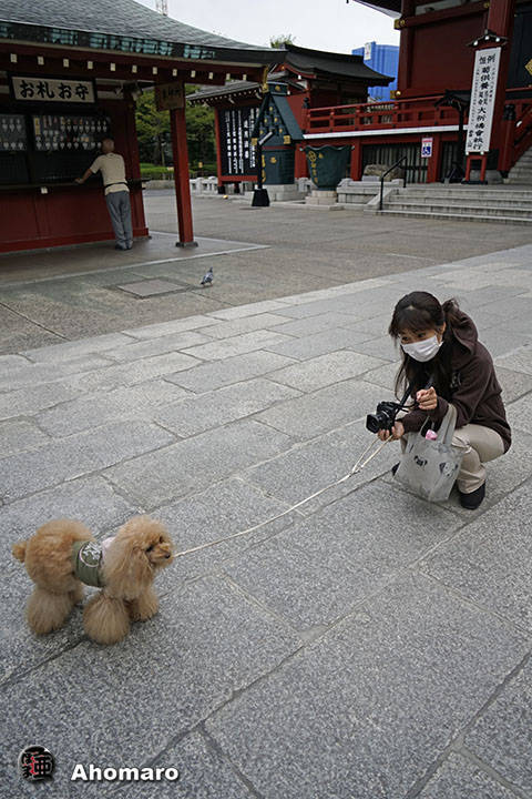 写真00